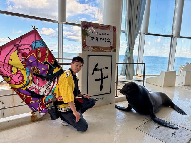 新春アクアワールド2026開催！アシカによる“書初めパフォーマンス”他、水族館の生きものたちと一緒に、新年の訪れをお祝いしよう！