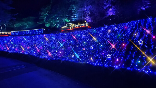 【修善寺虹の郷】伊豆最大級の体感型イルミネーション「虹の郷イルミtheナイト2025」10月17日(金)スタート