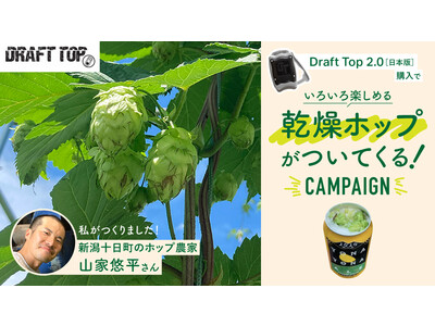 ビール缶オープナー「Draft Top 2.0」を購入された方に採れたて乾燥ホップをプレゼント【数量限定】