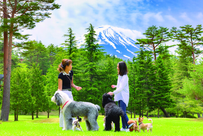 【富士山1合目・標高1,000m】愛犬と一緒にヨガ・BBQ・焚き火カフェ。 フジプレミアムリゾート、夏季限定プログラム開催