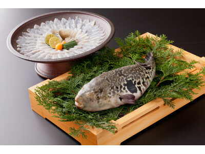 2025年ミシュラン１キー『旅亭 半水盧』、長崎県産とらふぐ、九絵、松葉蟹など贅を尽くした「至極を味わう...