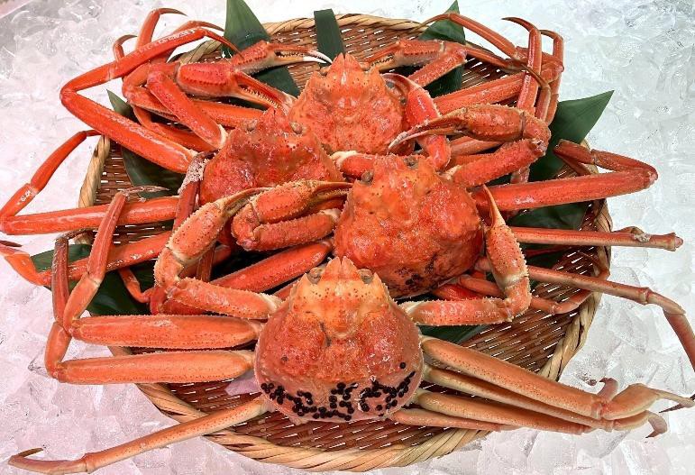 【道の駅 うみてらす名立】冬海の恵み 本ズワイ蟹と寒ブリの饗宴！12月27日よ…