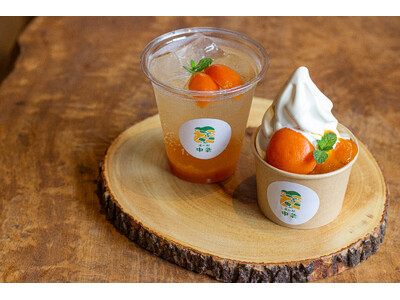 【道の駅 中条】千曲市産のあんずを使用した「あんずフェア」開催!