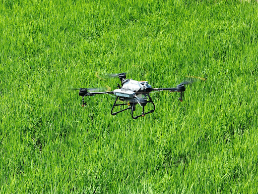 ドローンで除草・カメムシ対策、コメ増収に挑戦!小規模農地のドローン防除、デモ飛行・散布見学会を6月1日開催|油屋金太
