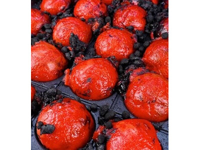 関西の人気情報番組「おはよう朝日です（ABCテレビ）」で自分で焼けるたこ焼き居酒屋 TAKOYAKI L...