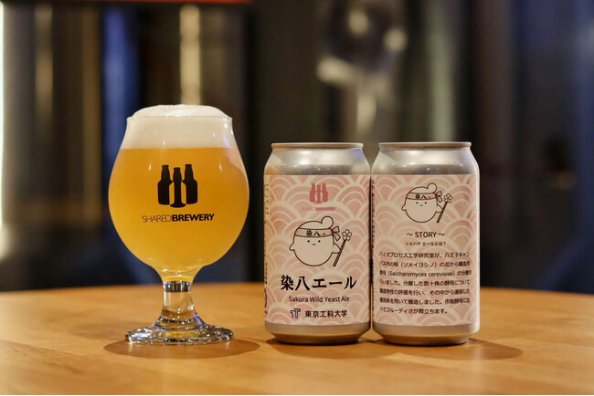 【東京工科大学】キャンパスに咲くソメイヨシノがクラフトビールに！「染八エール」を地元ブルワリーと共同開発