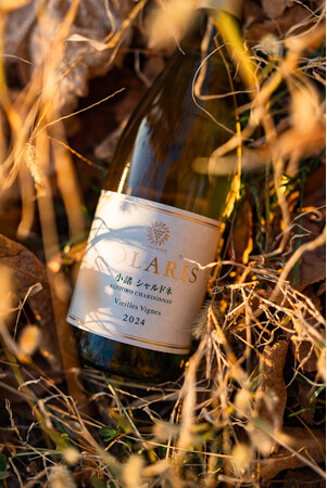 マンズワイン「ソラリス 小諸 シャルドネ ヴィエイユ・ヴィーニュ 2024」新ヴィンテージをリリース