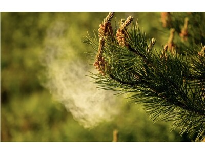 �y2026�N�͉ԕ���������ԁH�ԕ��Ǒ΍�z�������ƃN���[�j���O�u�O�����s�v�I�z�c���Z�b�g�L�����y�[���v��S���ŊJ�n