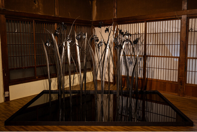 プレスリリース「【八王子芸術祭2025】旅人（黄菖蒲）／ある惑星の住人（タガメ）」のイメージ画像