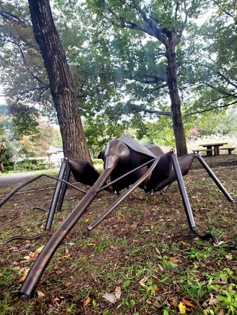 プレスリリース「【八王子芸術祭2025】ある惑星の住人 （アリ、ゾウムシの作品）　　　　　／　旅人（彼岸花の作品）」のイメージ画像