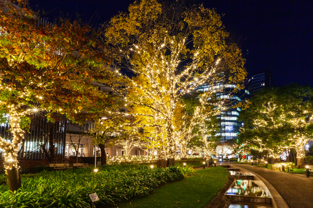【渋谷の名所をEVで巡る。大人気周遊キャンペーン第2弾！】渋谷の紅葉とイルミネーションを都市型EVモビリティ『e-NEO』でドライブ