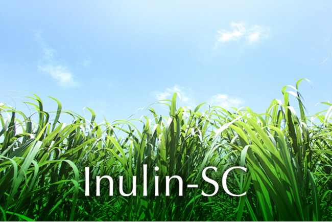 日本精化、第64回日本油化学会年会にてInulin-SCの研究成果を発表