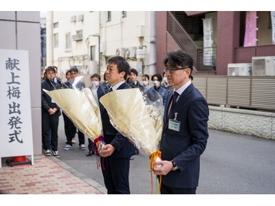 【熱海市】春を告げる「早咲き梅」を上皇陛下へ献上　昭和44年から57年続く、熱海の献上梅