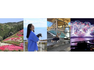 【熱海市】しだれ桜にバラ、つつじ、温泉、花火、愛犬旅も。2026年4月の熱海旅おすすめ情報