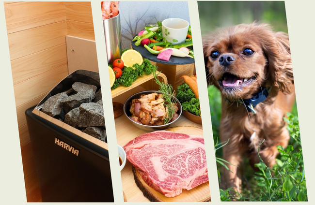 【那須塩原に新グランピング誕生】“愛犬OK×プライベートサウナ”完備の…