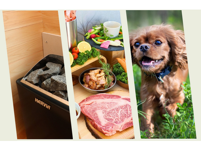 【那須塩原に新グランピング誕生】“愛犬OK×プライベートサウナ”完備のトレーラーハウス型施設「那須森蔵」