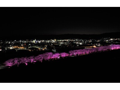 初開催！「冬桜回廊 ～光で紡ぐ幻想のリバーライン～」