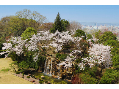 春爛漫、丘の上の特等席～五感で愉しむ岡山国際ホテルの春～