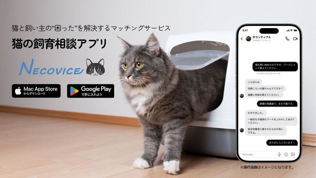 2月22日「猫の日」公開！猫ボランティアによる猫の飼育相談の駆け込み寺『Necovice』