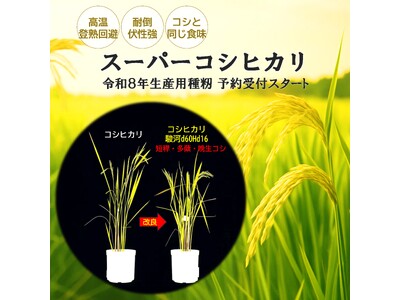 気候変動に強い「スーパーコシヒカリ」のリリース