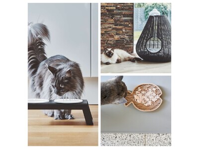 《Life with Cat》～猫と暮らす、心地よい毎日のために～