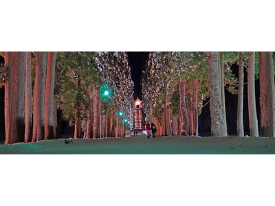 北海道北斗市、キャンドルで彩る『北斗光回廊』12月17日から開催―トラピスト修道院並木道が幻想的なクリスマス空間に―