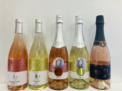 【五島ワイナリー】2025年12月11日（木）新酒解禁！