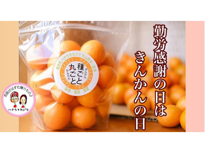 「勤労感謝の日」は、きんかんの日。働く人に感謝を伝える