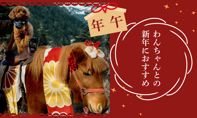【正月】愛犬と共に、午年 2026年 初詣&乗馬で 幸せ祈願!来年は午…