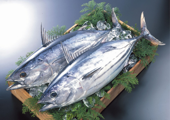 全国4万5千人調査で判明！土佐久礼(高知県中土佐町)が、“かつお愛“日本一の町に！