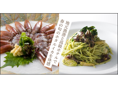 春の富山だけの贅沢。漁港で味わう極上ホタルイカの朝食と、ホテルニューオータニ（東京）で堪能する珠玉の特別メニュー