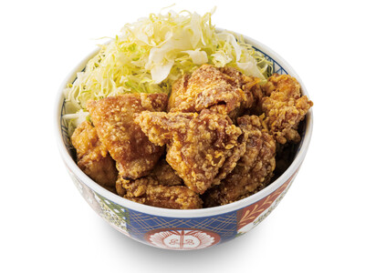 【元祖豚丼屋TONTON】福山店３周年/岡南店２周年を記念して全丼メニュー２０％オフの周年祭を２店舗同時...