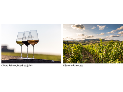 ボジョレーヌーボー2025、今年も登場！新酒の香りとともに秋を祝う