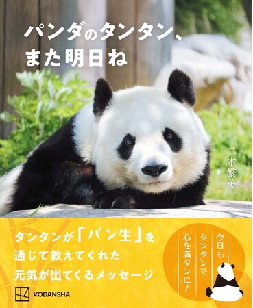 プレスリリース「タンタン、また会いたかったよ……。『パンダのタンタン　また明日ね』写真集発売」のイメージ画像