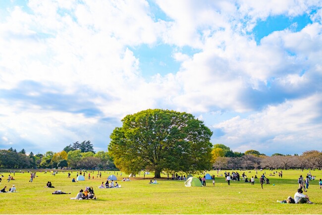 立川から、文化の“流れ”を育てる。市民団体「Raise the STREAM」発足のお知らせ