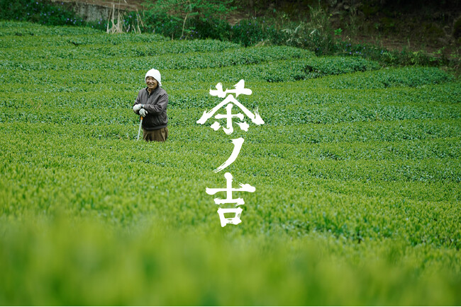 約200年続く奈良・吉野の茶農家の三姉妹が事業承継。クラフト茶ブランド「茶ノ吉」11月5日デビュー