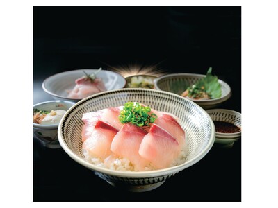 「寝かせたハマチがいっちゃんうまい！」料理長の一言から生まれた“奇跡の一膳”