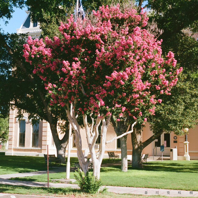 シンガーソングライター 森川葵咲樹、二つの支点で物語を描いた新曲「あの日の僕らへ」リリース