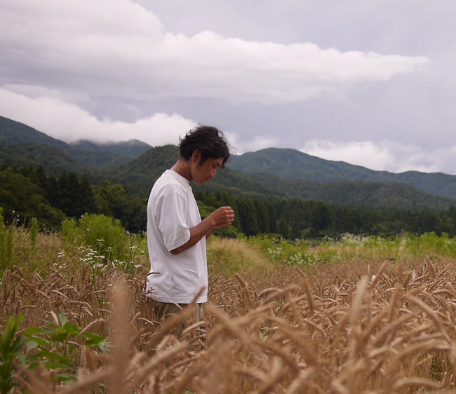 土地を表現するパン--ヨーロッパで10年学んだ自然酵母と伝統製法を、新潟の素材と薪窯で昇華させるローカルガストロノミー・ベーカリー「grains.」誕生