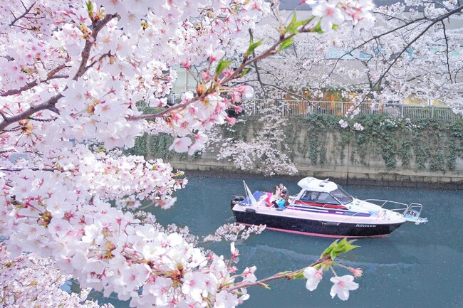 【目黒川お花見CHANDONクルーズ／貸切】特別仕様の船上から春を感じるファーストクラス予約開始！4,000ｍ続く桜のトンネルを潜り、「仲間の笑顔に包まれる」優雅な時を
