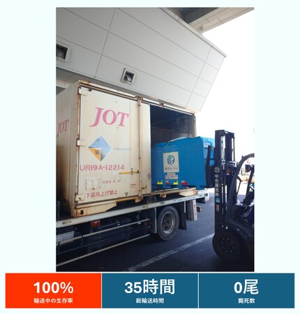 活魚の鉄道輸送、生存率100%を実証