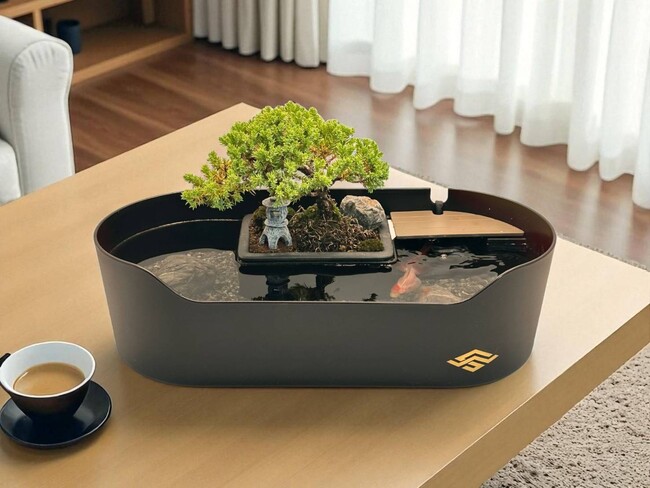 侘水景( わびすけ)、グッドアクアリウムデザイン賞2025 BRONZE Prizeを受賞　- 盆栽と観賞魚が織りなす“室内庭園”がデザイン賞に選出 ー
