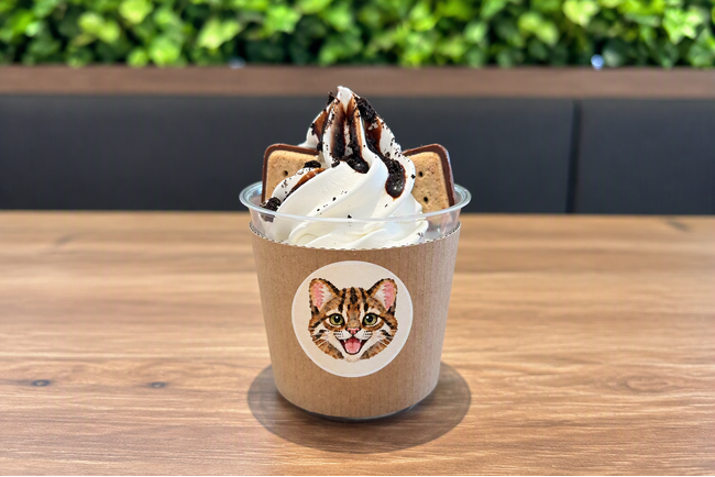 ツシマヤマネコをモチーフにした学生企画のソフトクリーム、10月10日
