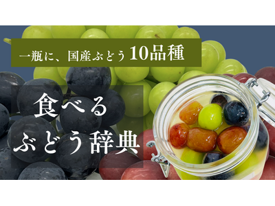 旬のぶどう10品種を一瓶に。味・香り・食感の違いを楽しむ『食べるぶどう辞典』2026年9月18日Makuake限定発売