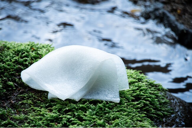 “こんにゃく生まれ”の新感覚タオル『つやの子 こんにゃく生タオル』が読売テレビ「大阪ほんわかテレビ」で紹介されました(11月21日放送)