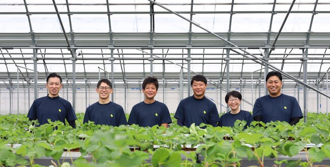 【関空から一番近い いちご収穫体験】建設コンサル・日本振興が手がける体験型農園「Refarm YOSHIMI 370」2026年1月6日オープン