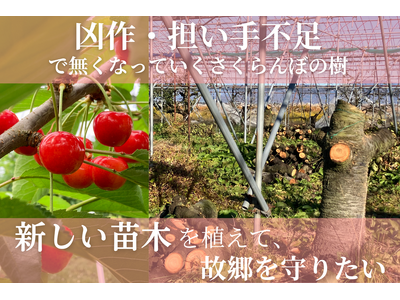 �y�R�`���z�S����s���Ƌ���Ŗ����Ȃ��Ă����������ځB�̋��̔_�Ǝ�邽�߁A�Ⴋ�������ڔ_�Ƃ��N���E�h�t�@���f�B���O�Ńv���W�F�N�g�J�n�B