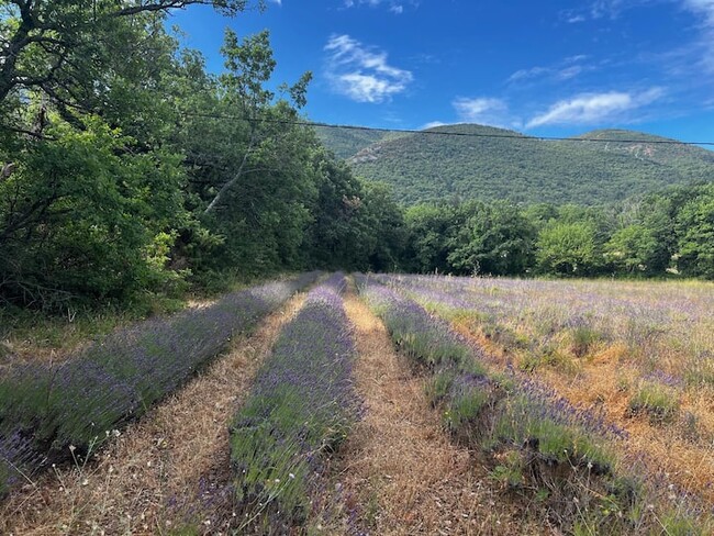 プレスリリース「【人生を、ビオディナミする】各回1組限定。南仏プロヴァンス、新月と満月にのみ開かれる3泊4日のリトリート『Ritualtude "MOON & Art de Vivre"』26年5月より開始」のイメージ画像