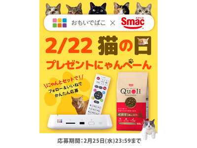 【2/22猫の日プレゼントにゃんぺーん】写真と動画を保存できる「おもいでばこ」と厳選素材のキャットフード「Quoli」がセットで当たる