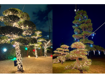 “光の中で打つ”新感覚ゴルフ体験！座間の夜を彩る『ZAMAGOLF ナイトイルミネーション 2025』が開幕